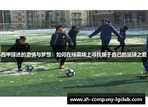 西甲球迷的激情与梦想：如何在绿茵场上寻找属于自己的足球之爱