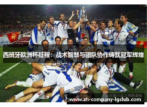 西班牙欧洲杯征程：战术智慧与团队协作铸就冠军辉煌