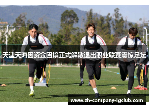 天津天海因资金困境正式解散退出职业联赛震惊足坛