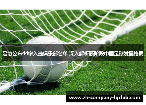 足协公布44家入选俱乐部名单 深入解析新阶段中国足球发展格局