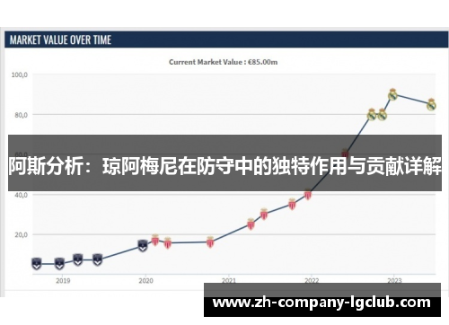 阿斯分析：琼阿梅尼在防守中的独特作用与贡献详解