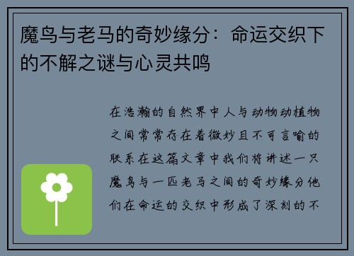 魔鸟与老马的奇妙缘分：命运交织下的不解之谜与心灵共鸣